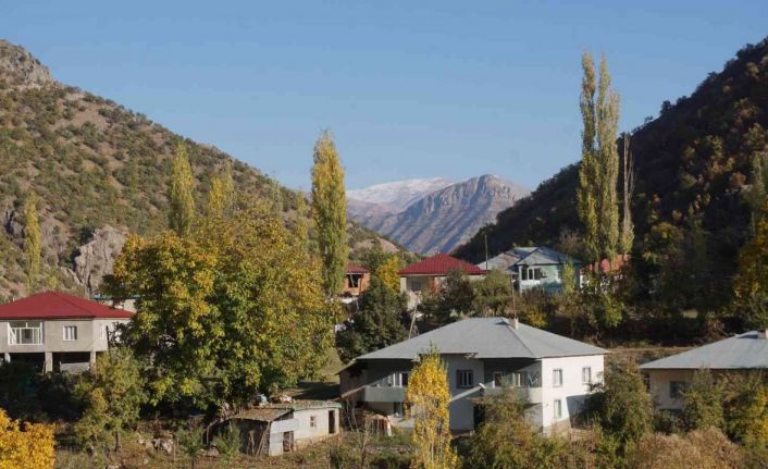 Şırnak’ın bal ormanları farklı renk tonlarıyla göz kamaştırdı