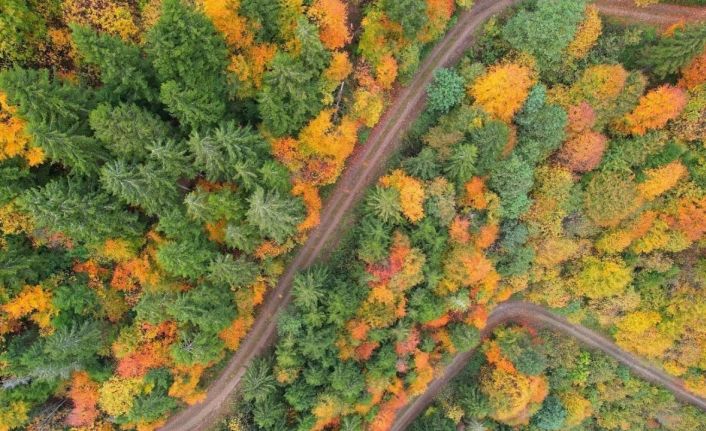Sonbahar renkleri Trabzon’u kartpostallardaki görüntülere çevirdi