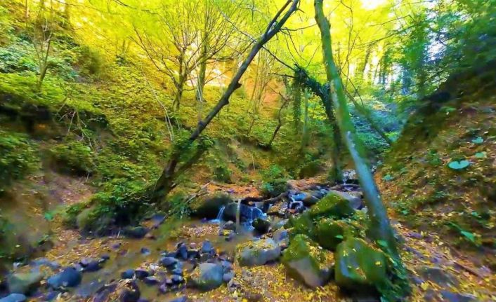 Sonbaharın renkleri ile Nüzhetiye Şelalesi birleşti, eşsiz görüntüler ortaya çıktı