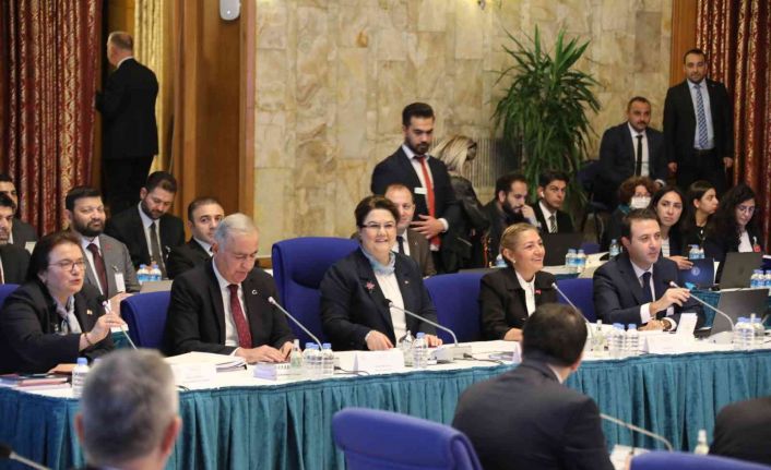 TBMM Plan ve Bütçe Komisyonunda Aile ve Sosyal Hizmetler Bakanlığı bütçesi görüşülüyor