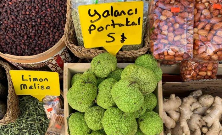 Vatandaşın ağrı kesici arayışına “Yalancı portakal” yetişti