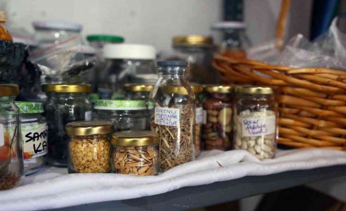 ‘Yerel Tohum Sokağı’ filiz vermeye başladı