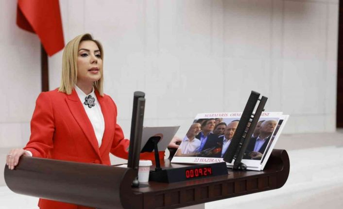 Ak Parti Muğla Milletvekili Gökcan’dan yeni yıl mesajı