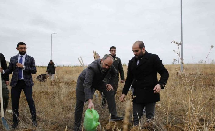 Baberti Külliyesi yeni ağaçlarla renkleniyor
