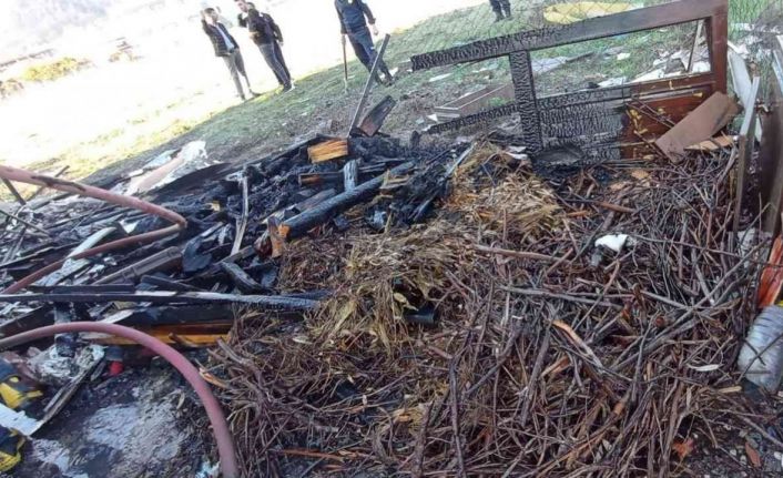 Bahçedeki odunlar tutuştu ev yanmaktan kurtuldu