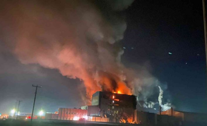 Balık yem fabrikasındaki yangına ormancılar da müdahale etti