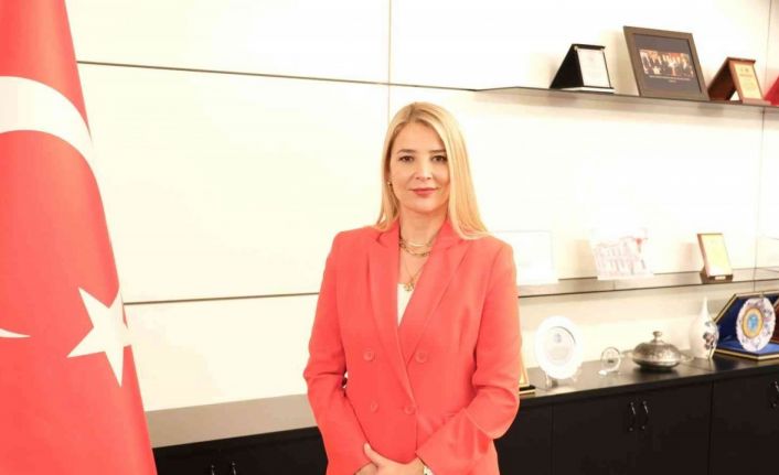 Başkan Çevikel: "Yeni yılda diğer enerji kalemlerine de destek bekliyoruz"