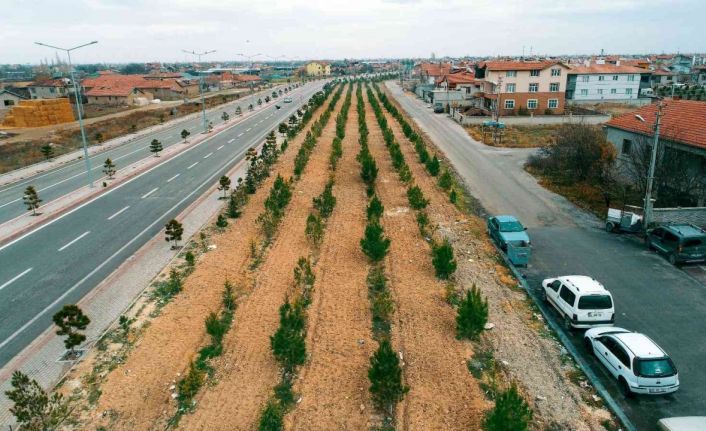 Başkan Kavuş: “Meram’ın yeşil dokusu eski ihtişamlı günlerine kavuşana kadar durmak yok”