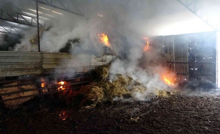 Besihanede çıkan yangında binlerce saman balyası yandı, hiç kullanılmayan son model traktör küle döndü