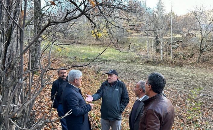 Bitlis’te kestane üretiminde verimi arttırma çalışmaları sürüyor