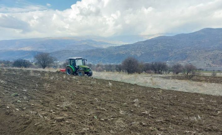 Boş tarım arazileri siyez buğdayı ile buluşuyor
