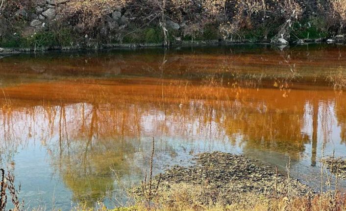Çayı kirletip balık ölümüne sebep olan firmaya 66 bin lira ceza kesildi