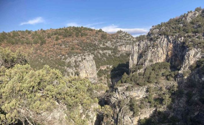 Doğal güzellikleri ile büyüleyen kanyondan ilk kez geçildi: Macera tutkunları için rota belirlendi