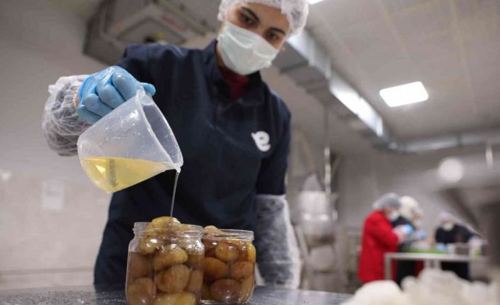 Efeler Belediyesi kestane şekeri üretimine başladı