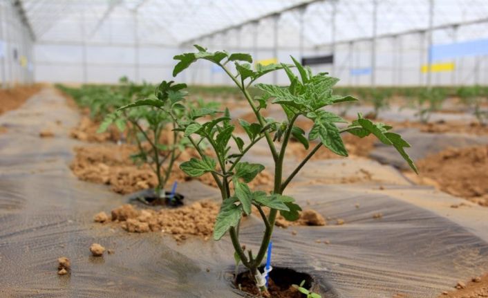 Erzincan’da seracılık yapacak çiftçilere devletten destek