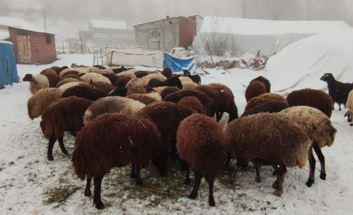 Erzurum’da kar yüzünü gösterdi