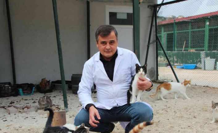 Evcil hayvan sahipleri dikkat, son 2 gün