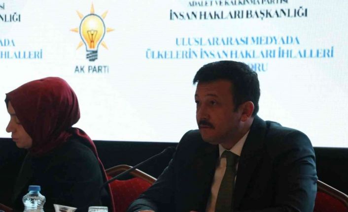 Geçtiğimiz yıl 12 ülkede insan hakları ihlalleriyle ilgili 548 haber yer aldı