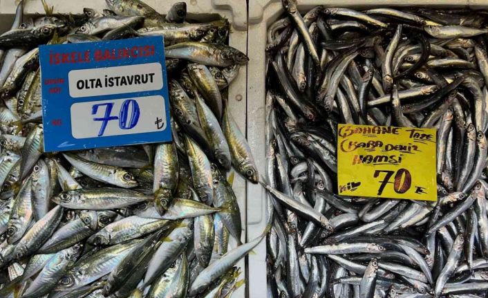 Hava sıcaklığı balık tezgahlarını olumsuz etkiliyor