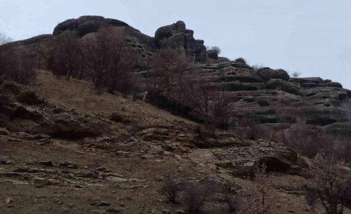 İtfaiye ekipleri, dağda mahsur kalan keçiyi 5 saatlik uğraş sonucu kurtardı