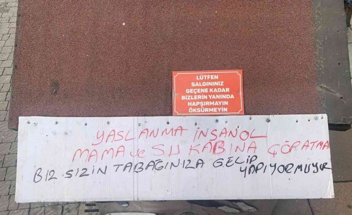 Köpek kulübesine yazdığı yazı ile hem şaşırttı hem de insanlık dersi verdi