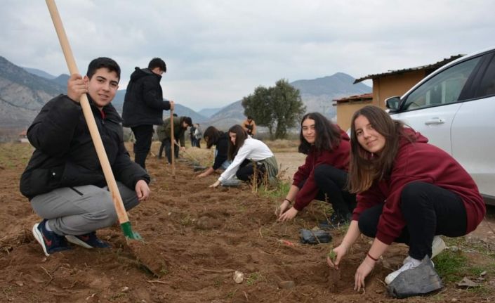 Lavantalar öğrencilerin ellerinden toprakla buluştu