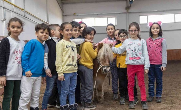 Manej alanı ve atçılık koordinatörlüğü hizmetini sürdürüyor