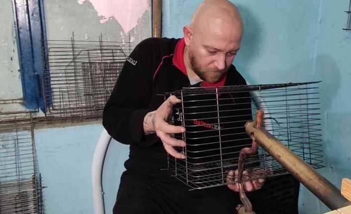 (Özel) Abi kardeş 70 metre kare atölyede Türkiye’nin kafes ihtiyacını karşılıyor