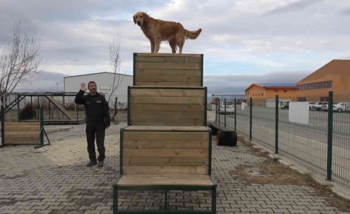 (ÖZEL) Afyonkarahisar’ın hassas burunları Türkiye’nin her yerinde görev yapıyor