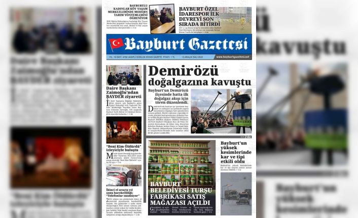 Resmi İlan Fiyat Tarifesine yüzde 58,73 ile yüzde 100 zam yapıldı