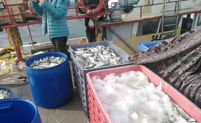 Sahil kenarlarında yasadışı  ticari balık avcılığı yapanlara 30 bin TL para cezası kesildi