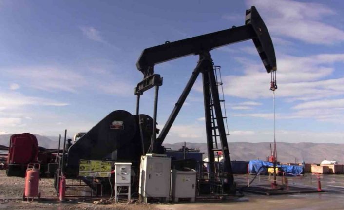 Siirt’te TPAO petrol arayacak