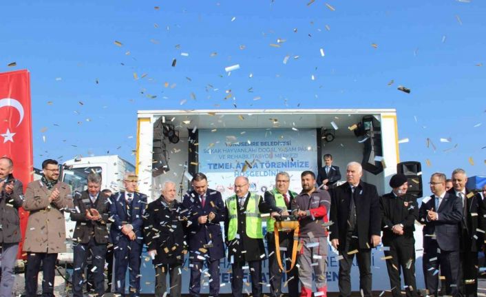 Sokak hayvanları için 70 milyonluk yatırım