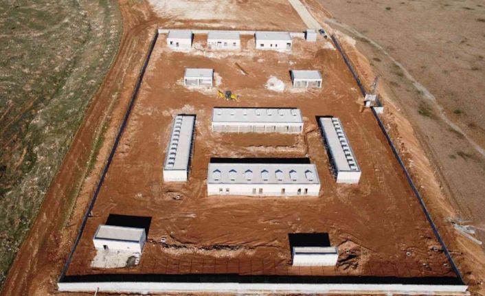 Sokak hayvanları sıcak yuvalarına kavuşacak