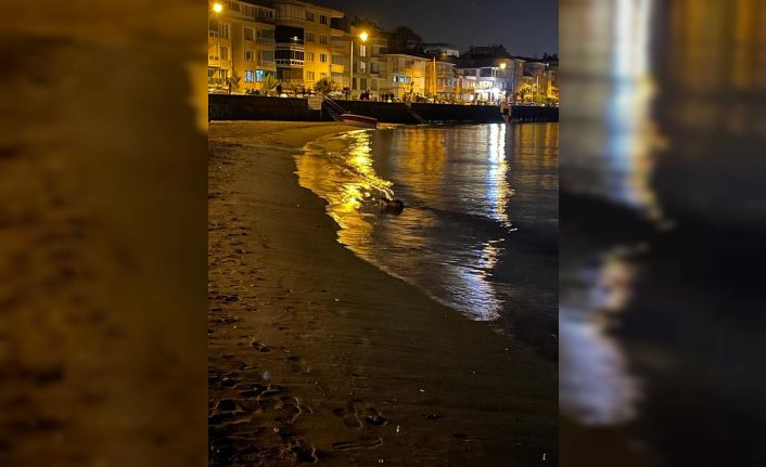 Su samurunu görenler hayrete düştü