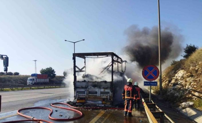 Tekstil yüklü tır yandı