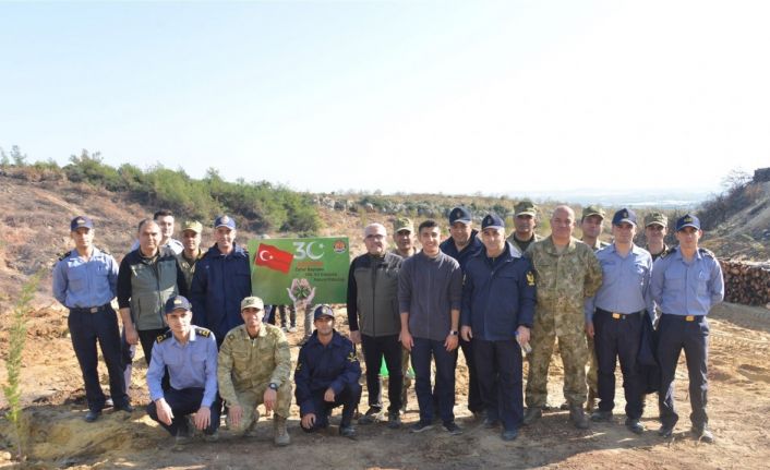 Yangında zarar gören 4 hektarda bin 600 fidan toprakla buluştu