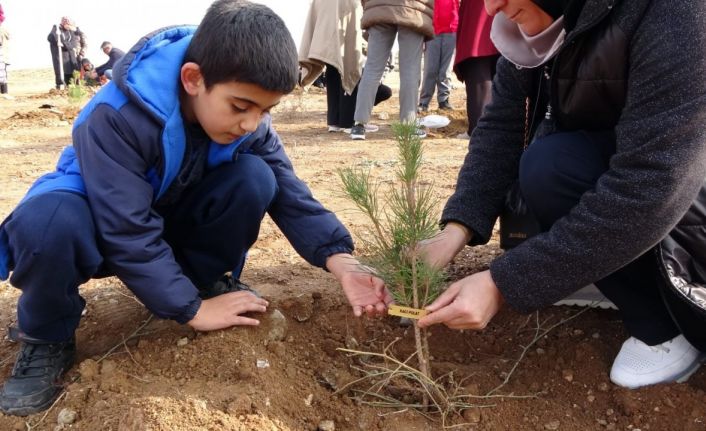 Yetimler babaları için fidan dikti