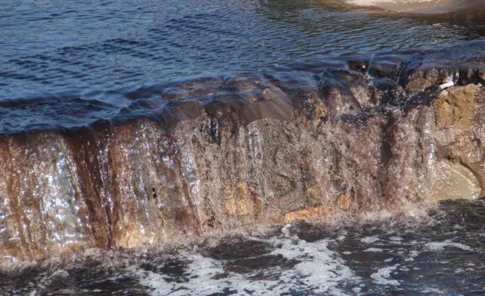 Zeytin sezonu başladı, Köşk Çayı siyaha büründü