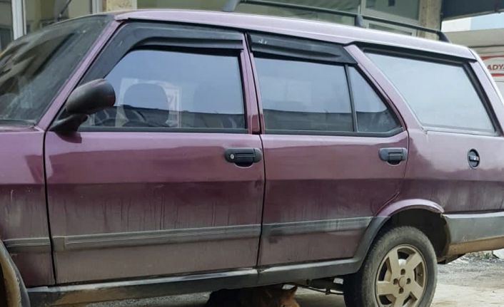 Aç kalan çakal şehre indi