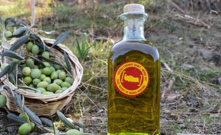 Aydın Ticaret Borsası, Coğrafi İşaret Tescilli Aydın Memecik Zeytinyağını Gaziantep’te tanıtacak