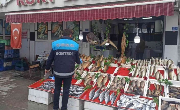 Beyşehir’de balık satış noktalarında denetim