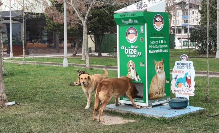 Bu otomat sokak hayvanlarının