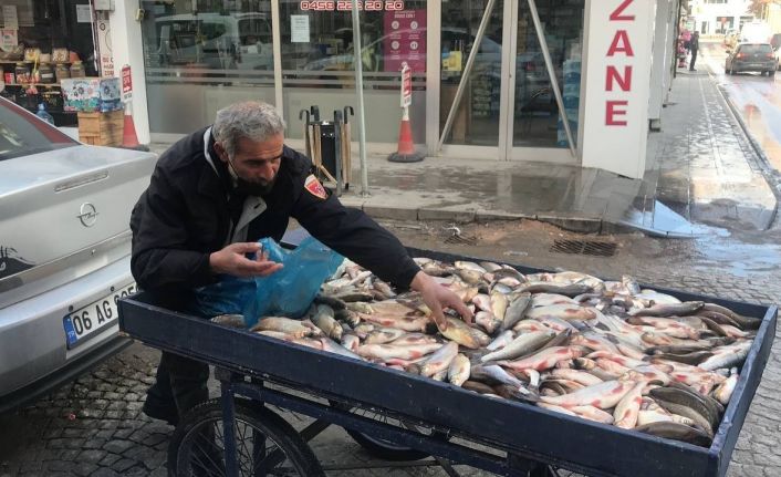 Çoruh Balığı tezgahta yerini aldı