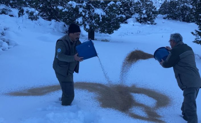 Doğada yaşayan hayvanlar unutulmadı, yoğun kar yağan bölgelere yem bırakıldı