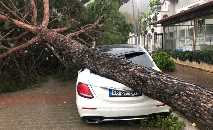 Fırtına ağaçları devirdi, lüks araç ve bir ev zarar gördü