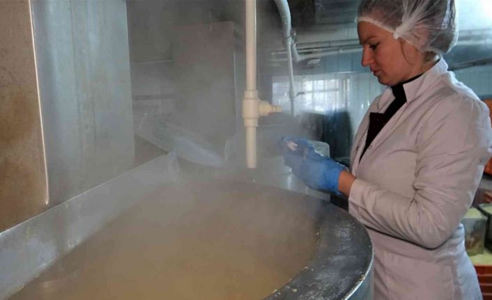 Günde 60 ton üretiyor...Tam bir şifa kaynağı