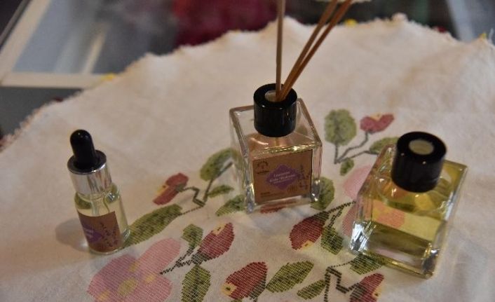 Hasat edilen lavantalardan sabun, kolonya, lavanta yağı ve tonik üretildi