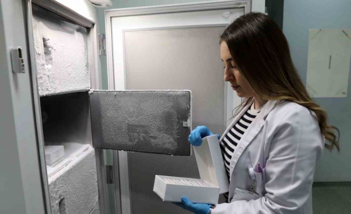 Hastalıkların tespitinde en iyi rehber: Genetik analizler