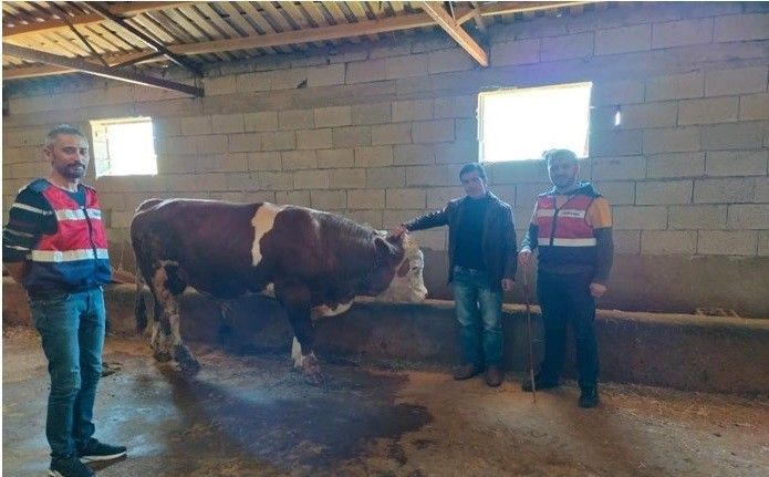 Iğdır JASAT’tan büyük başarı: 111 olay aydınlatıldı